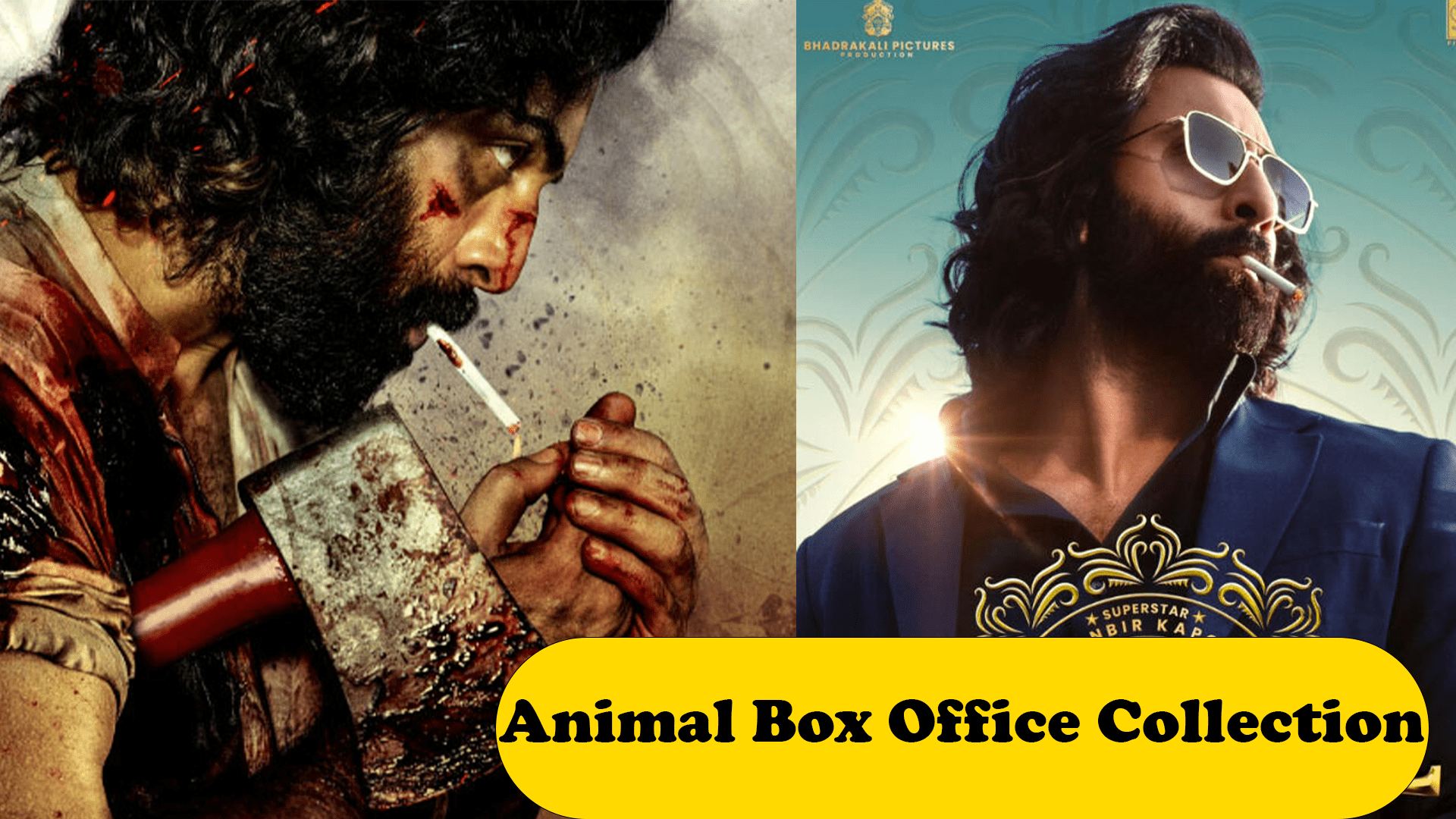 Animal Box Office Collection