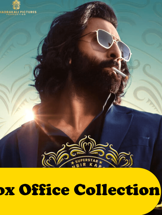 Animal Box Office Collection